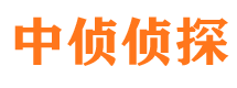 崇川市调查公司